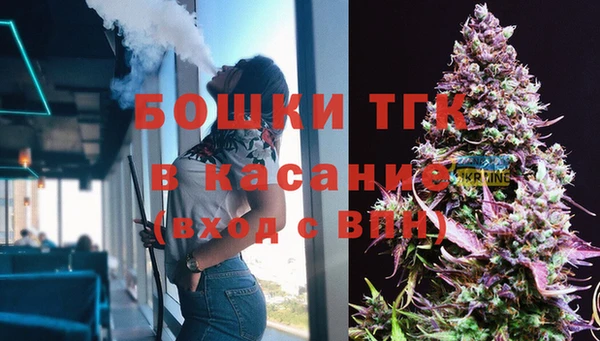 гашик Алзамай